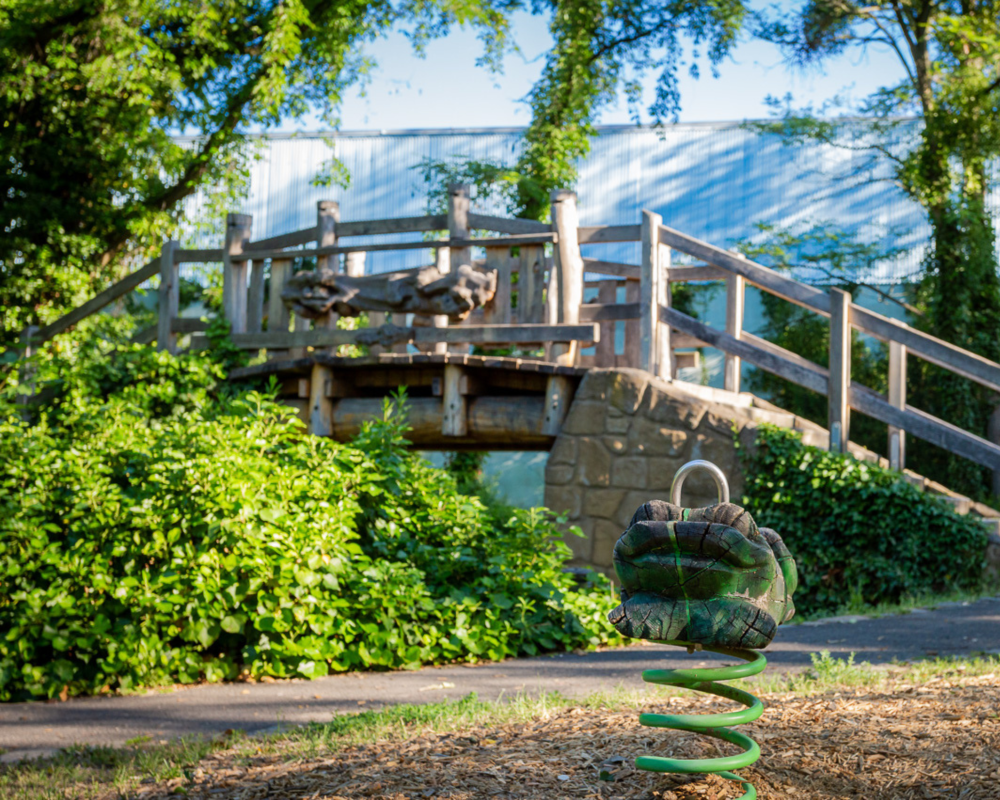 Brücke im Grünen mit Frosch im Hintergrund